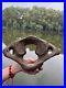 1200g Ice Age mammal vertebra bone specimen Pleistocene