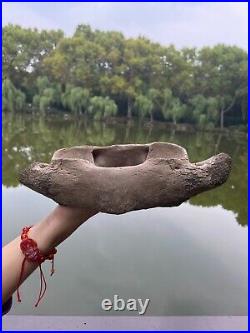 1200g Ice Age mammal vertebra bone specimen Pleistocene