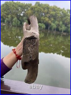 1200g Ice Age mammal vertebra bone specimen Pleistocene