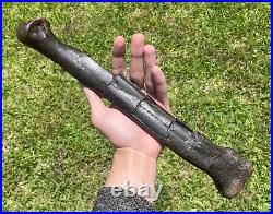 13.5 Canada Fossil Struthiomimus Metatarsal Dinosaur Bone HUGE Rare Cretaceous