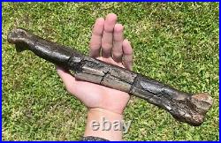 13.5 Canada Fossil Struthiomimus Metatarsal Dinosaur Bone HUGE Rare Cretaceous