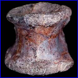 2.3 Phytosaur Fossil Vertebrae Bone Late Triassic Age Archosaur Chinle FM, AZ