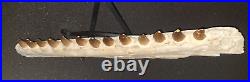 21,26 Authentic Mosasaur Jaw Fossilized Teeth Jaw Bone Cretaceous Period Dinosa