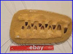 26.3 POUNDS! Huge 18 Inch Mosasaurus Dinosaur Fossil Jaw Bone With Giant Teeth
