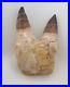 3.1 Inches Jaw's Mosasaurus Fossilized Teeth in Jaw Bone Morocco Cretaceous