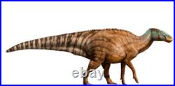 3.2 Edmontosaurus Fossil Toe Bone Lance Creek FM Cretaceous Dinosaur WY COA