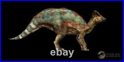 3.9 Hypacrosaurus Dinosaur Fossil Coracoid Bone Two Medicine FM Cretaceous MT