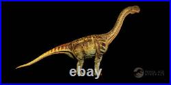 5.8 Camarasaurus Dinosaur Fossil Vertebra Bone Morrison FM CO Jurassic Age COA