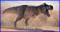 5 TYRANNOSAURUS REX Rib Bone HELL CREEK Cretaceous DINOSAUR FOSSIL t rex 02