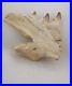 6.6 Inches Jaw's Mosasaurus Fossilized Teeth in Jaw Bone Morocco Cretaceous