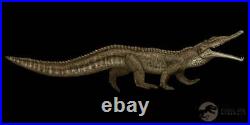 6 Phytosaur Fossil Femur Bone Late Triassic Age Archosaur Chinle FM AZ COA