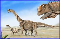7 Camarasaurus Dinosaur Fossil Limb Bone Morrison FM CO Jurassic Age COA Stand