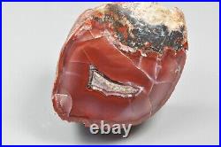 Agatized Dinosaur Bone Core, Utah, Polished, Red Agate Fort 54x40x28mm