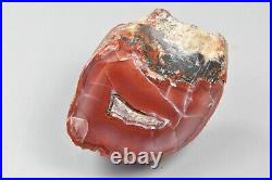 Agatized Dinosaur Bone Core, Utah, Polished, Red Agate Fort 54x40x28mm