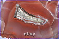 Agatized Dinosaur Bone Core, Utah, Polished, Red Agate Fort 54x40x28mm