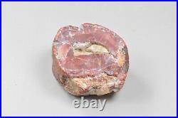 Agatized Dinosaur Bone Core, Utah, Polished, Red Agate Fort 54x40x28mm