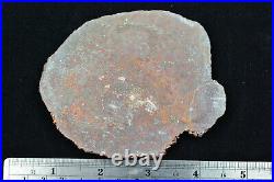 Agatized Dinosaur Bone Slab Utah 104 grams Polished