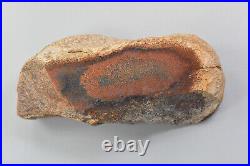 Agatized Dinosaur Bone Utah Polished