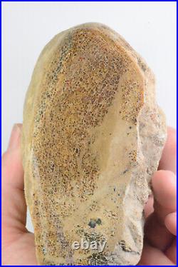 Agatized Dinosaur Bone, Utah, Polished, 3.5 lbs