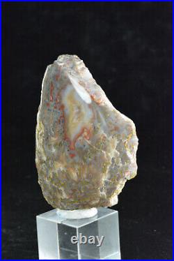 Agatized Dinosaur Bone, Utah, Polished, 53x41x9mm