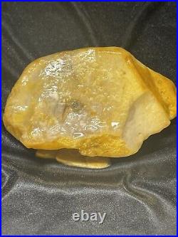 Agetized Crystallized Dinosaur Gem Bone Authentic