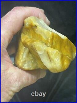 Agetized Crystallized Dinosaur Gem Bone Authentic