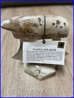 Alaska Rare Ulu Skinning Knife with Stand Fossilized Bone New Genuine