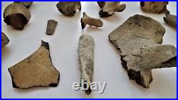 Ancient 5pc FOSSILIZED VERTEBRAE assorted BONES fossil old antique dinosaur