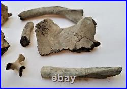 Ancient 5pc FOSSILIZED VERTEBRAE assorted BONES fossil old antique dinosaur