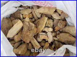 Bulk lot 10 lbs fossil Dinosaur Bone Hell Creek Cretaceous T rex triceratops