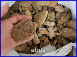 Bulk lot 10 lbs fossil Dinosaur Bone Hell Creek Cretaceous T rex triceratops