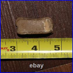 DINOSAUR FOSSIL Hadrosaur Toe Bone Gorgeous Hell Creek Formation Cretaceous