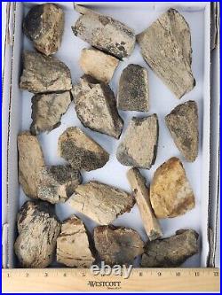 Dinosaur Bone 20 Fossil 8.4 lb Bulk Lot Hell Creek Fm. Wibaux Co, MT