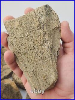 Dinosaur Bone 20 Fossil 8.4 lb Bulk Lot Hell Creek Fm. Wibaux Co, MT