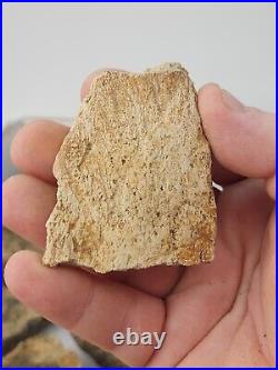 Dinosaur Bone 20 Fossil 8.4 lb Bulk Lot Hell Creek Fm. Wibaux Co, MT