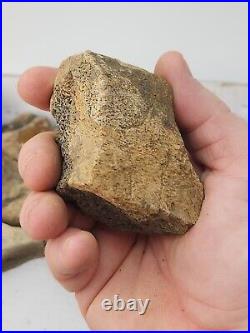 Dinosaur Bone 20 Fossil 8.4 lb Bulk Lot Hell Creek Fm. Wibaux Co, MT