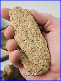 Dinosaur Bone 20 Fossil 8.4 lb Bulk Lot Hell Creek Fm. Wibaux Co, MT