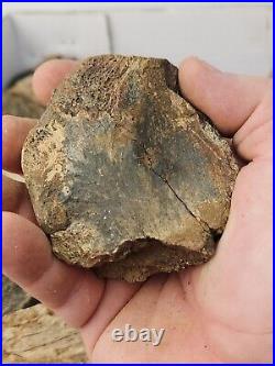 Dinosaur Bone 20 Fossil 8.4 lb Bulk Lot Hell Creek Fm. Wibaux Co, MT