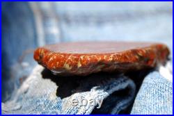 Dinosaur Bone Fossil 4 Corners Colors Jurassic Petrified Jewelry Stone 25gr