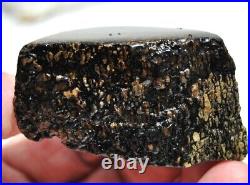 Dinosaur Bone Fossil Golden Black Allies Agatized Petrified Jurassic 71gr-2½oz