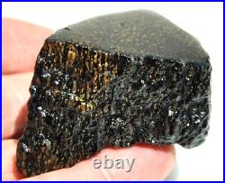 Dinosaur Bone Fossil Golden Black Allies Agatized Petrified Jurassic 71gr-2½oz