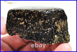 Dinosaur Bone Fossil Golden Black Allies Agatized Petrified Jurassic 71gr-2½oz