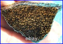 Dinosaur Bone Fossil Golden Black Allies Agatized Petrified Jurassic 71gr-2½oz