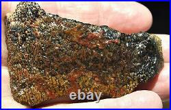 Dinosaur Bone Fossil Halloween Devil Jurassic Gem Jewelry Stone 54½gr-2oz