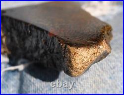 Dinosaur Bone Fossil Halloween Devil Jurassic Gem Jewelry Stone 54½gr-2oz