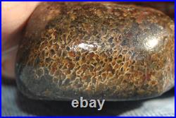 Dinosaur Bone Fossil Scarlet Heart Jurassic Petrified Jewelry Stone 84gr-2.9oz