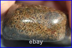 Dinosaur Bone Fossil Scarlet Heart Jurassic Petrified Jewelry Stone 84gr-2.9oz