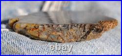 Dinosaur Bone Fossil Trick or Treat Jurassic Petrified Jewelry Stone 57gr-2oz