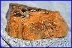 Dinosaur Bone Fossil Trick or Treat Jurassic Petrified Jewelry Stone 57gr-2oz