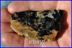 Dinosaur Bone Fossil Trick or Treat Jurassic Petrified Jewelry Stone 57gr-2oz